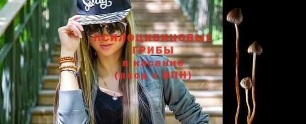 ПСИЛОЦИБИНОВЫЕ ГРИБЫ Армянск